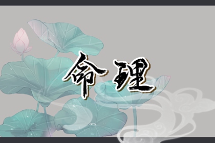 紫微夫妻合盘免费_流年紫微排盘_桃花命盘_专业命盘_十二宫免费查询